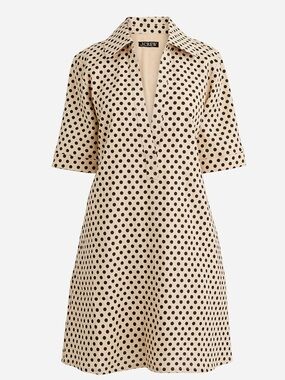 J. Crew Dress